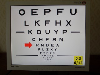 MD Vision Test